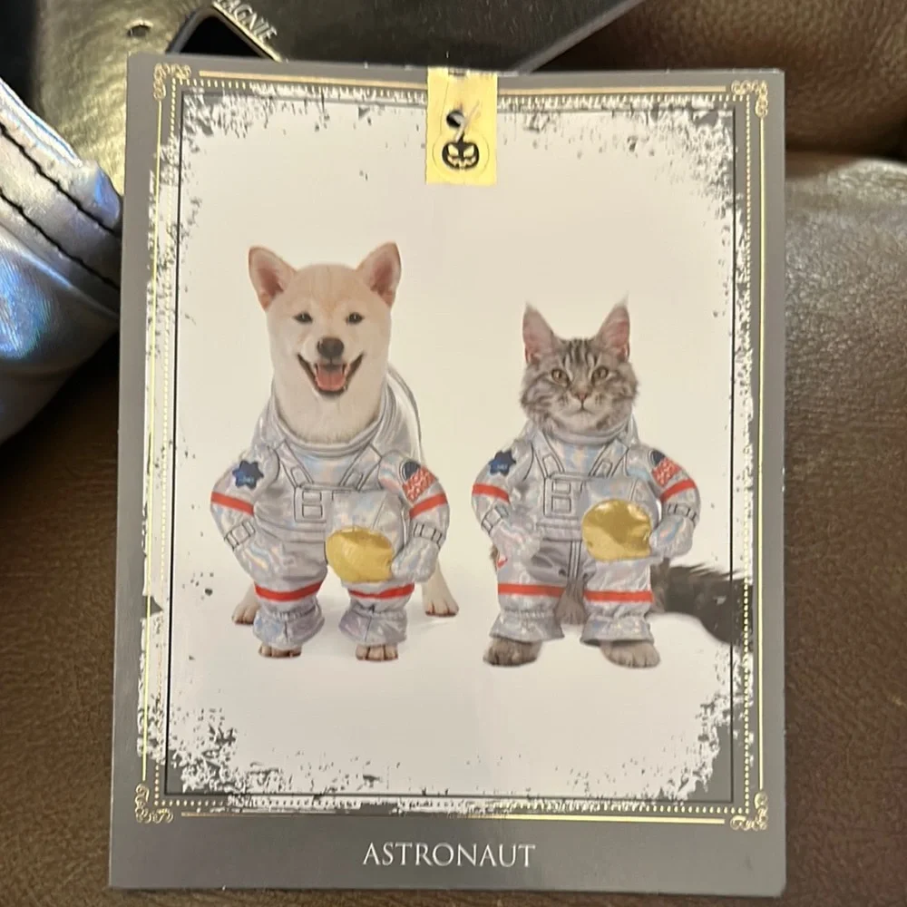Snooky Pet Space Suit Costume - Silver and Gold